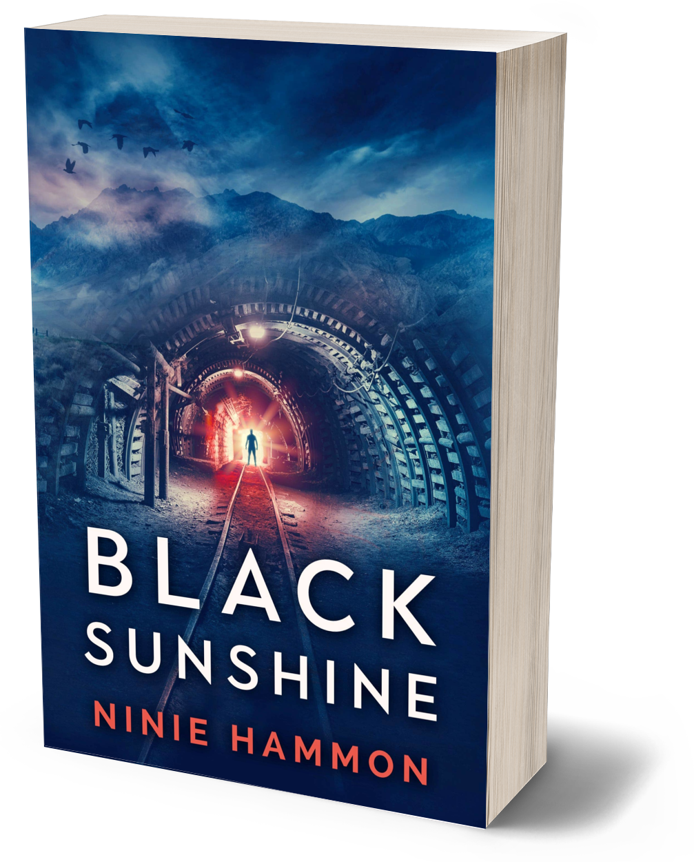 Cover of Black Sunshine paperback by Ninie Hammon