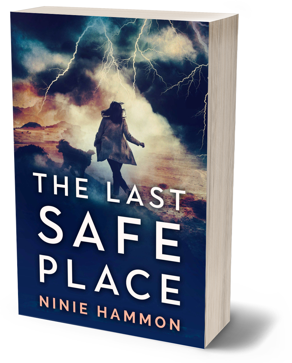 The Last Safe Place paperback, Ninie Hammon