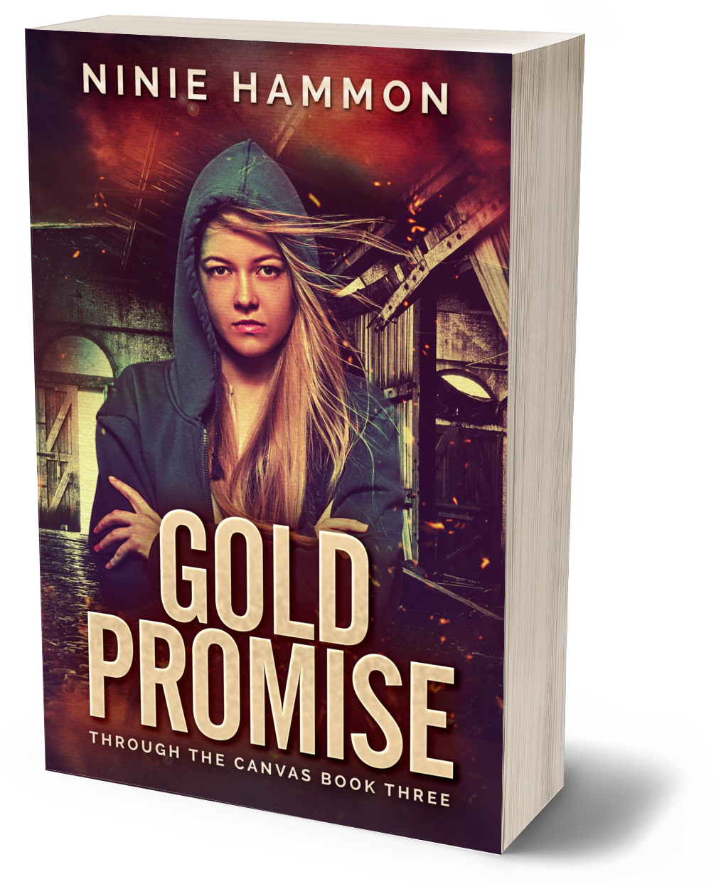 Gold Promise paperback, Through the Canvas 3, Ninie Hammon