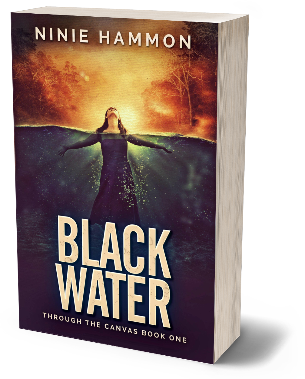 Cover of Black Water paperback by Ninie Hammon