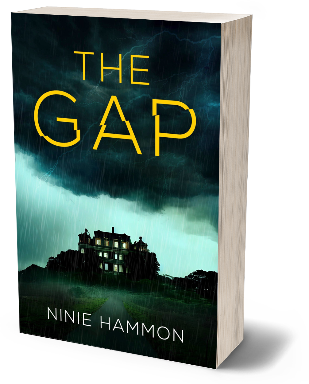 The Gap paperback, Ninie Hammon